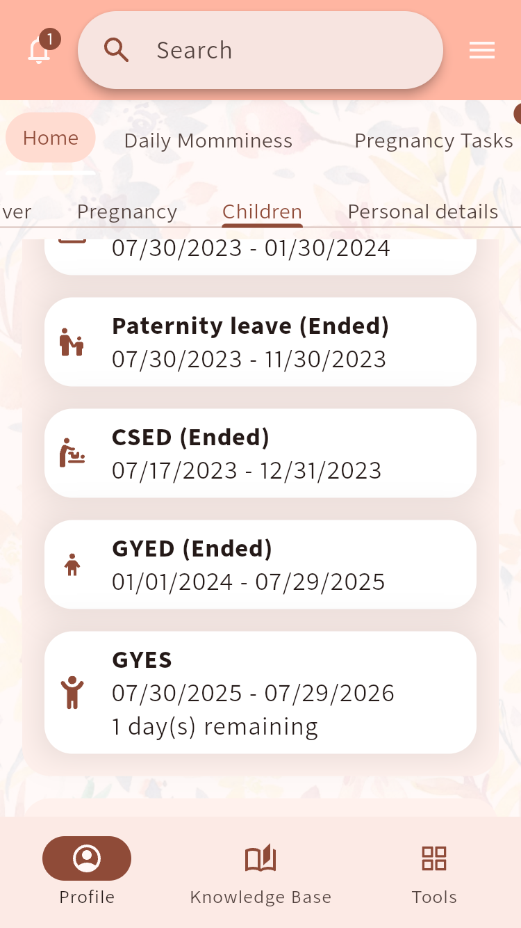 Hungarian family benefit overview showing estimated paternity leave, CSED, GYED and GYES periods⁠.