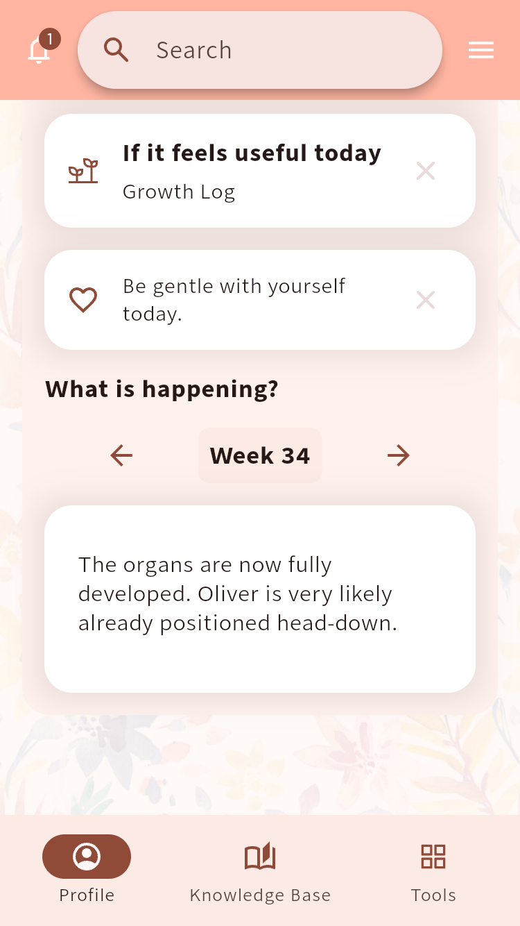 Daily Momminess screen showing a suggested tool, a supportive note and weekly pregnancy information⁠.