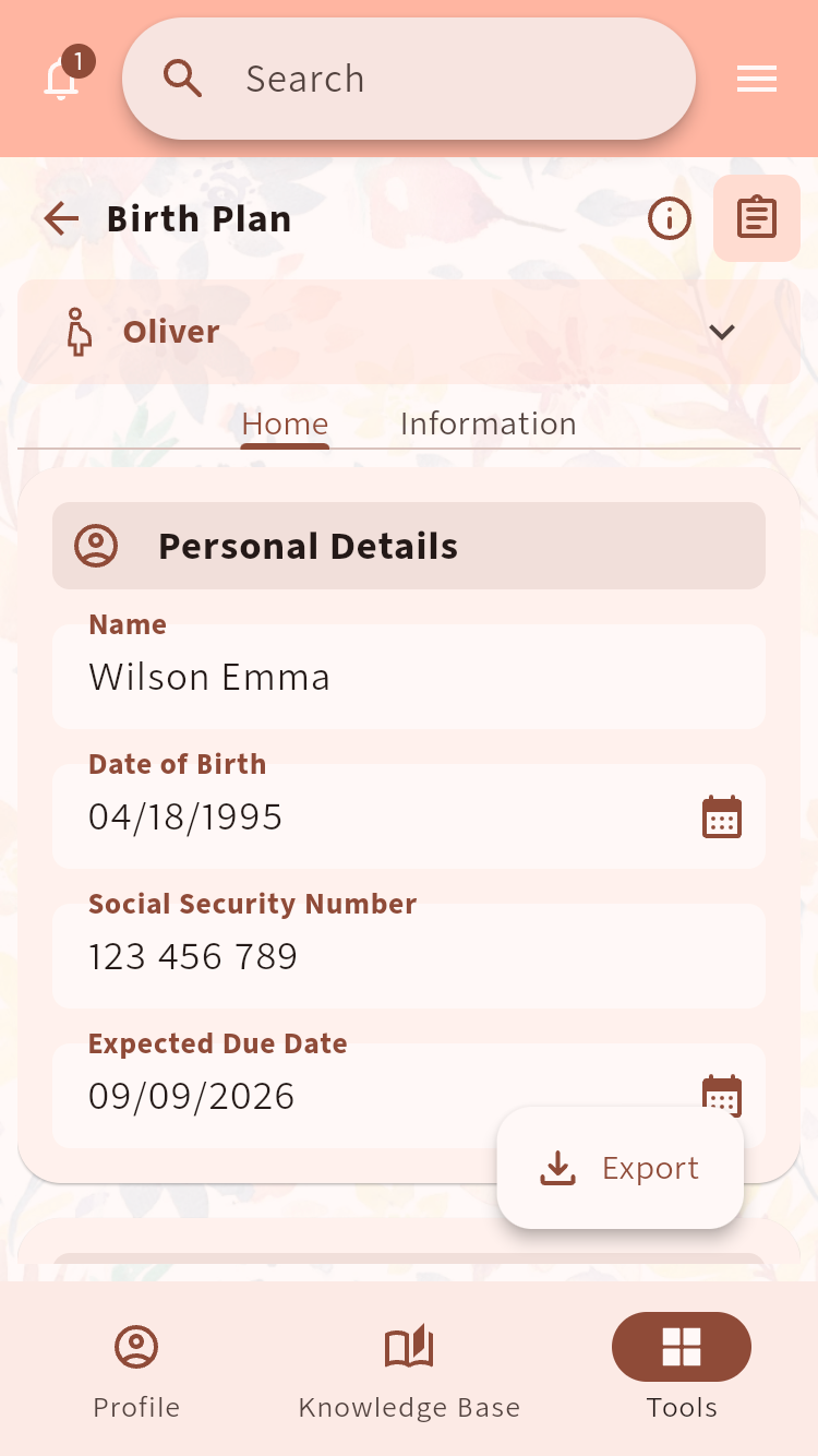 Birth Plan showing the personal details section and export action⁠.