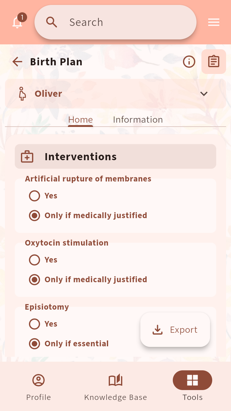Birth Plan showing preferences for interventions during labor⁠.