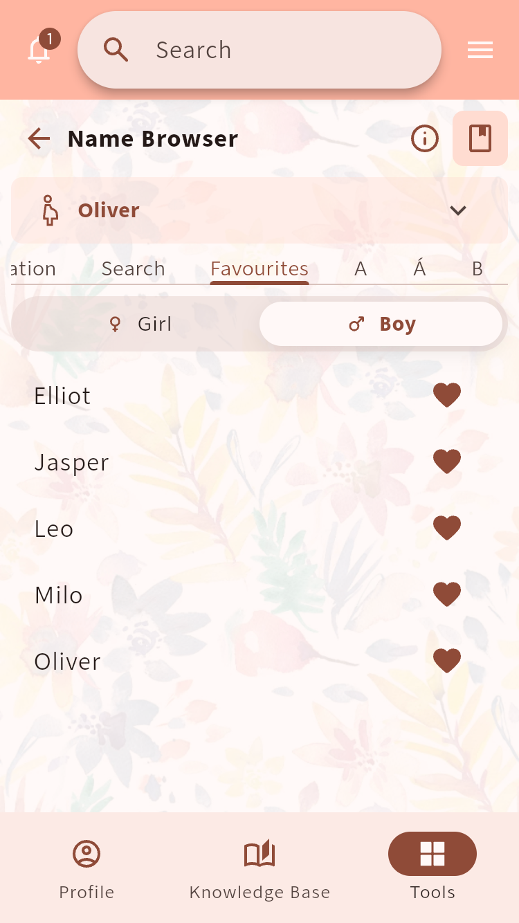 Name Browser showing a list of favourite baby names⁠.