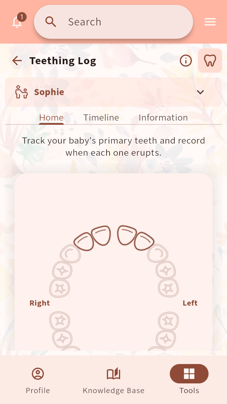 Teething Log showing an interactive chart of a baby's primary teeth⁠.