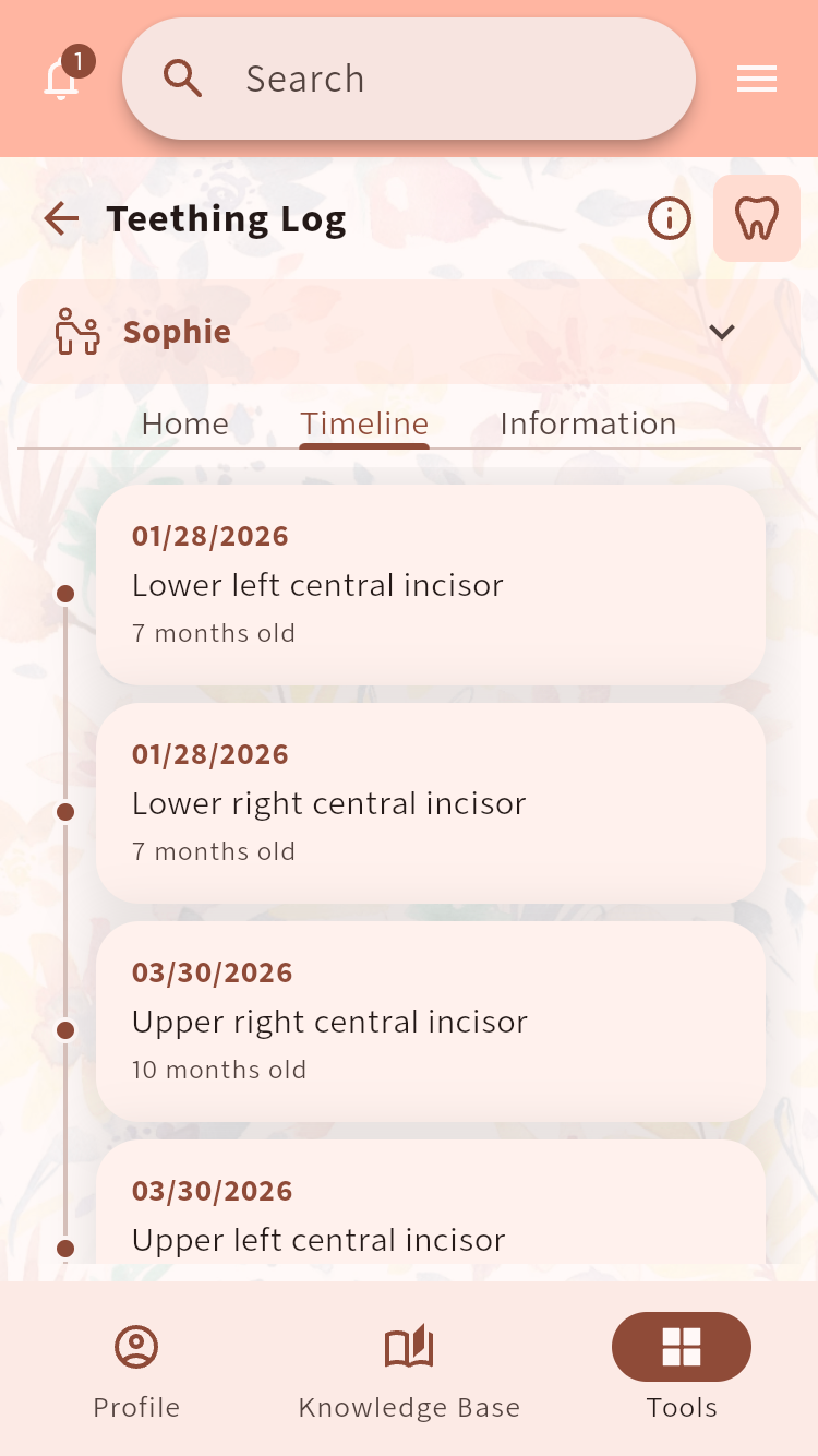 Teething Log timeline showing erupted teeth, dates and the baby's age⁠.